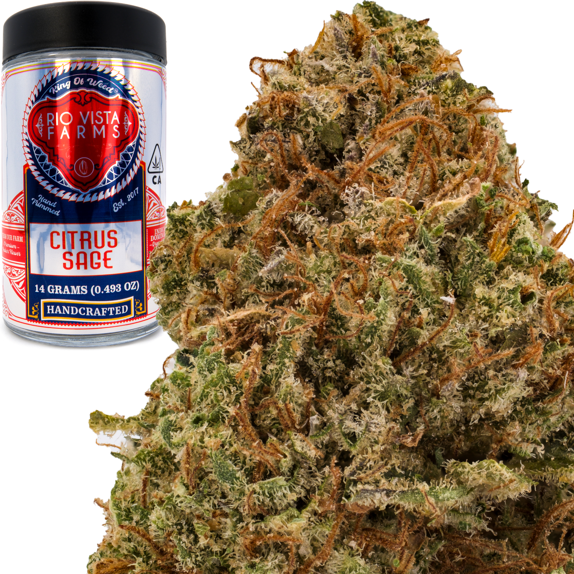 Photograph of product: Citrus Sage 14g Jar - Rio Vista Farms