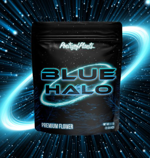 Photograph of product: Blue Halo Flower 1g