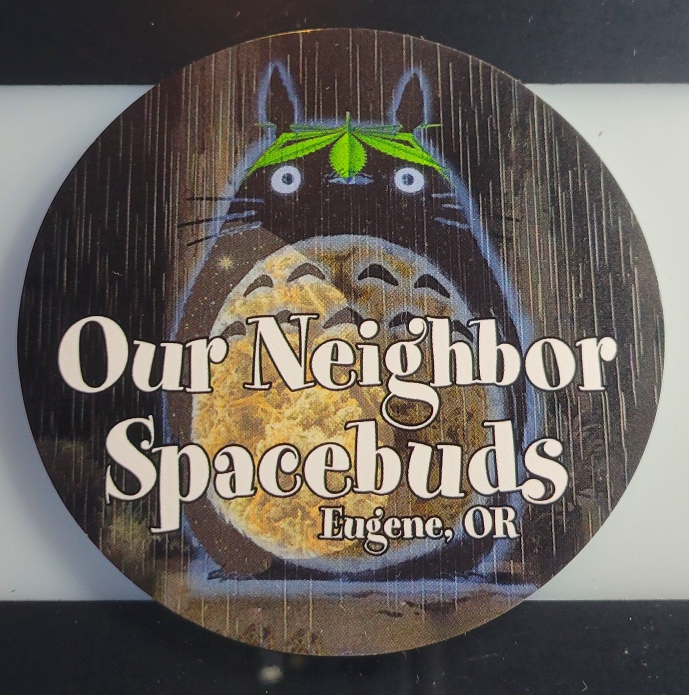 Photograph of product: Spacebuds - Sticker - Totoro