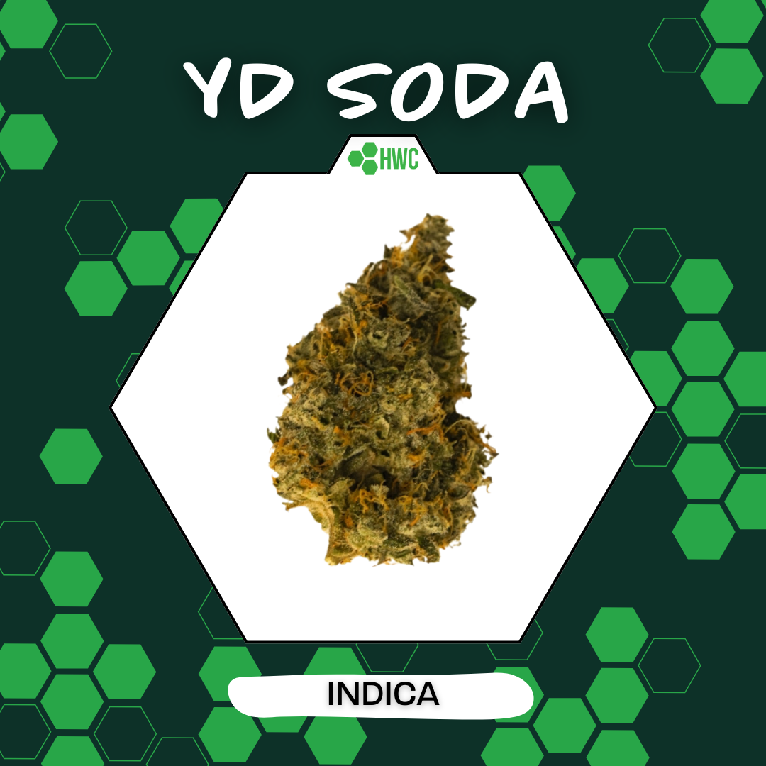 Photograph of product: Herbal Wellness Center - YD Soda (I) - 2.83g