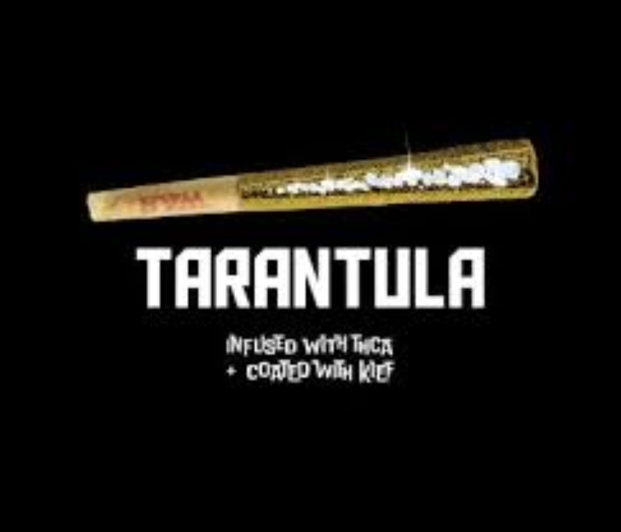 Photograph of product: CRUDE BOYS TARANTULA | SCOOBY SNACKS | INFUSED PREROLL | 1.1G
