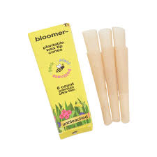 Photograph of product: Bloomer Cones 1 1/4 (6pk)