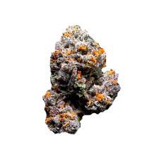 Photograph of product: Baseline | Sherbacio Biscotti 14g