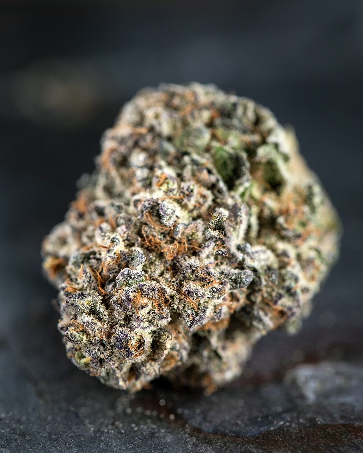 Photograph of product: Blueberry Cupcake - 14g