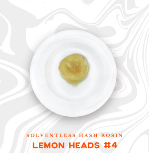 Photograph of product: VIVID - ROSIN LIVE au chocolat - 1G - LEMON HEADS # 4 -  HYBRID
