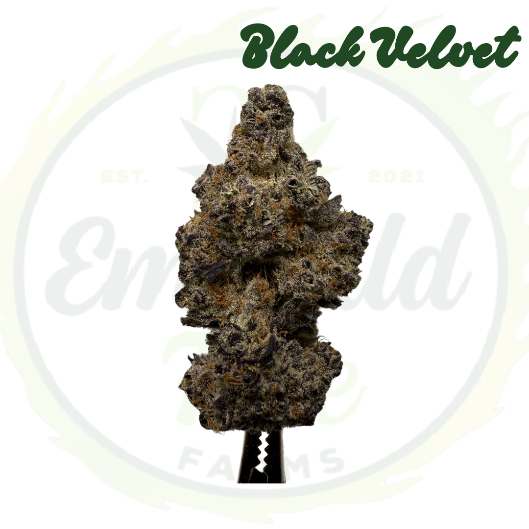 Photograph of product: Sherb Cream Cake - Emerald Fire Farms - 28g