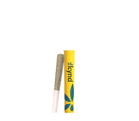 Photograph of product: Kynd Blazin Berry 1g Preroll