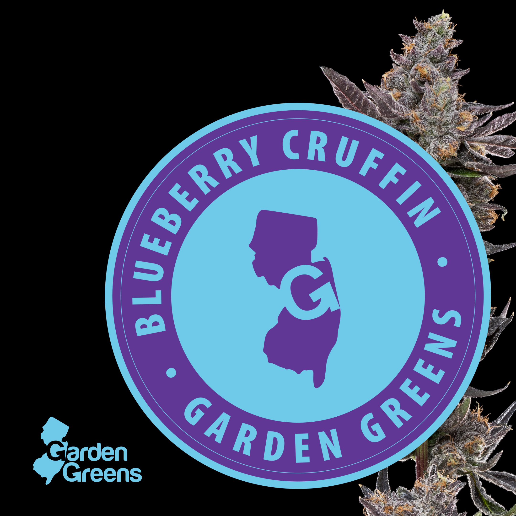 Photograph of product: Garden Greens | Flower | Blueberry Cruffin | 3.5g