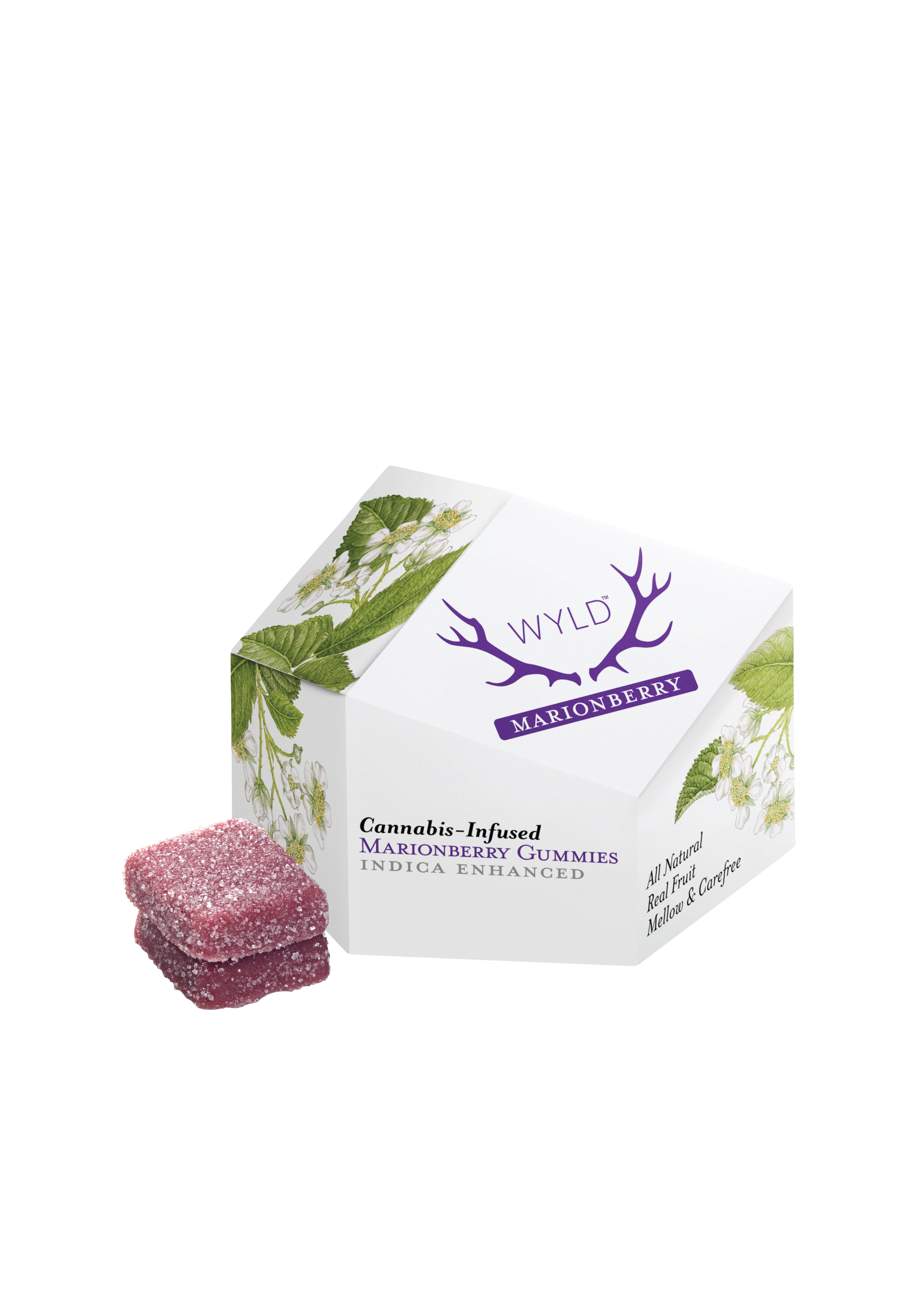 Photograph of product: Marionberry 10mg (10ct) - WYLD Gummies