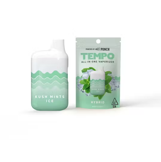 Photograph of product: Punch Tempo Kush Mintz Ice All In One (H) 1g