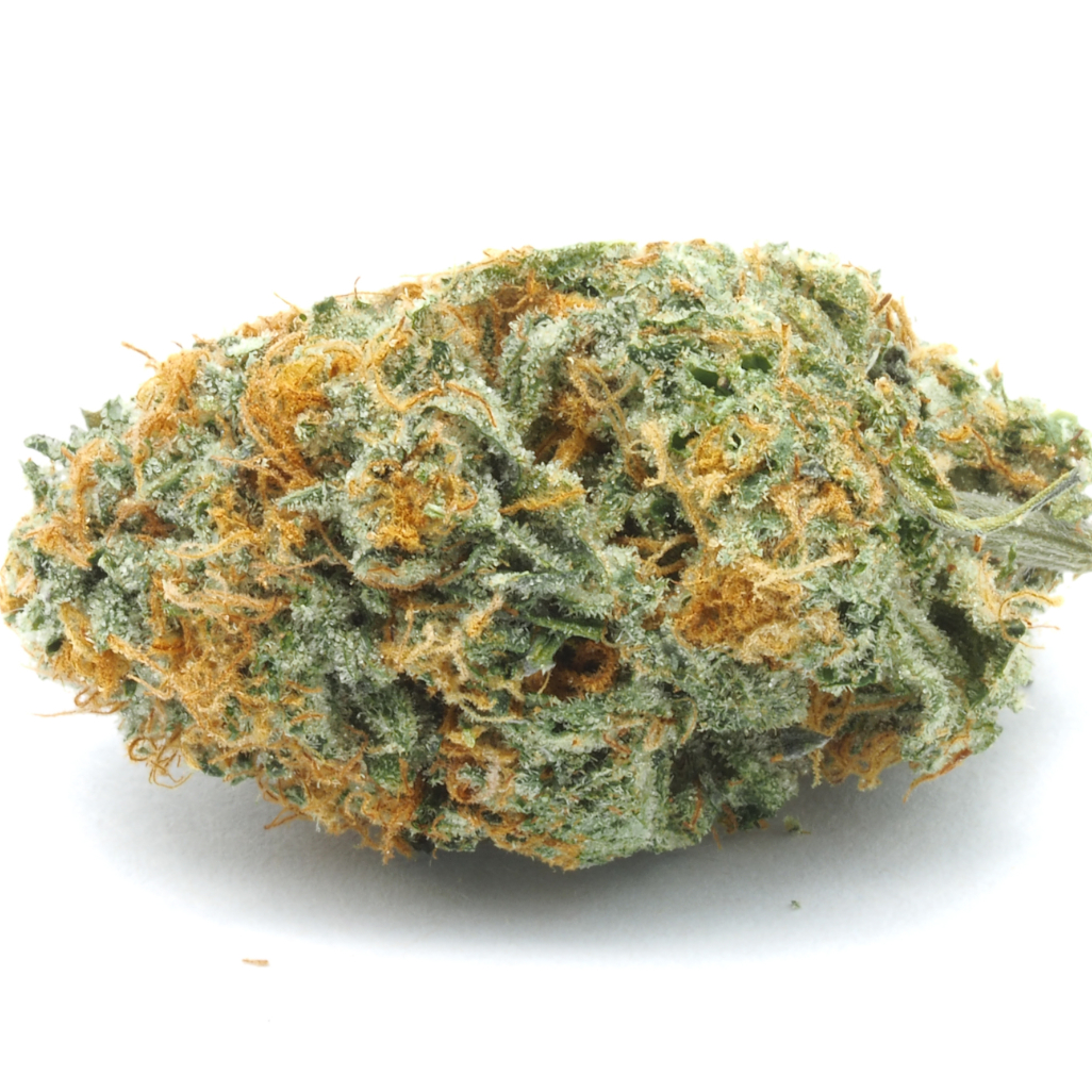 Photograph of product: GELATO 41