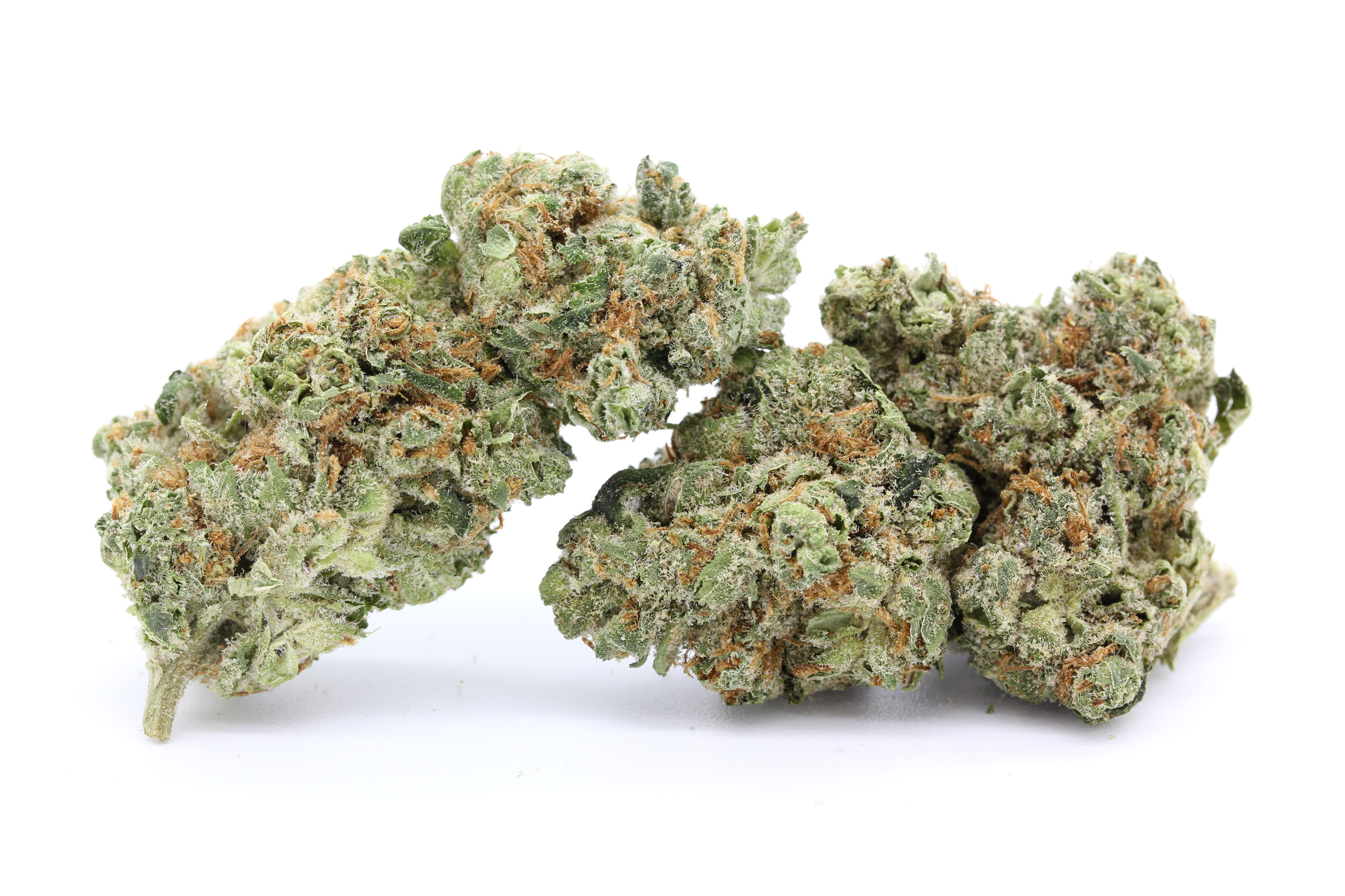 Photograph of product: Morockin Kush | AMP | - 7g