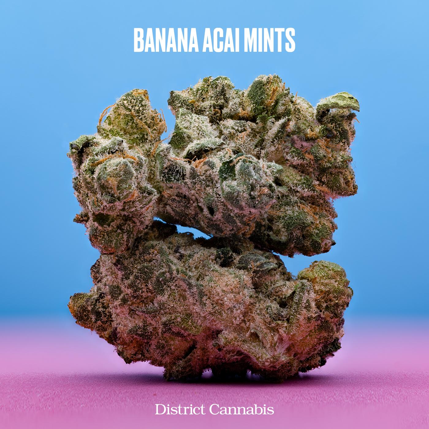 Photograph of product: District Oui'd - Banana Acai Mints - 3.5g