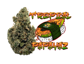 Photograph of product: Tropical Papayaz - Flower - Lazy River Products - 28g