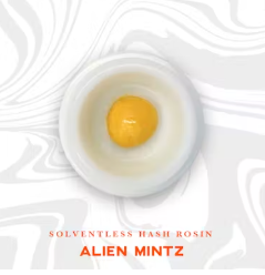 Photograph of product: Alien Mintz - Vivid - 1g Live Rosin