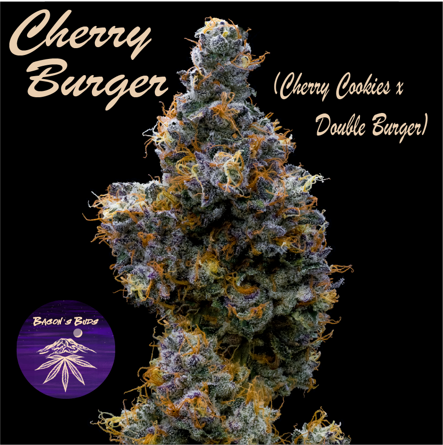 Photograph of product: Cherry Burger (DOH) - 7g