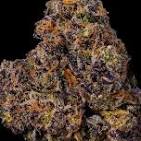Photograph of Product: NTH Farms - Bulk Flower - Permanent Cherries - 7g
