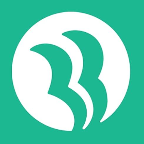 Photograph of product: 25MG HYBRID LIQUID DIAMONDS 4 PACK GEL CAPSULES