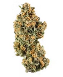 Photograph of product: Lemon Mintz - 3.5g