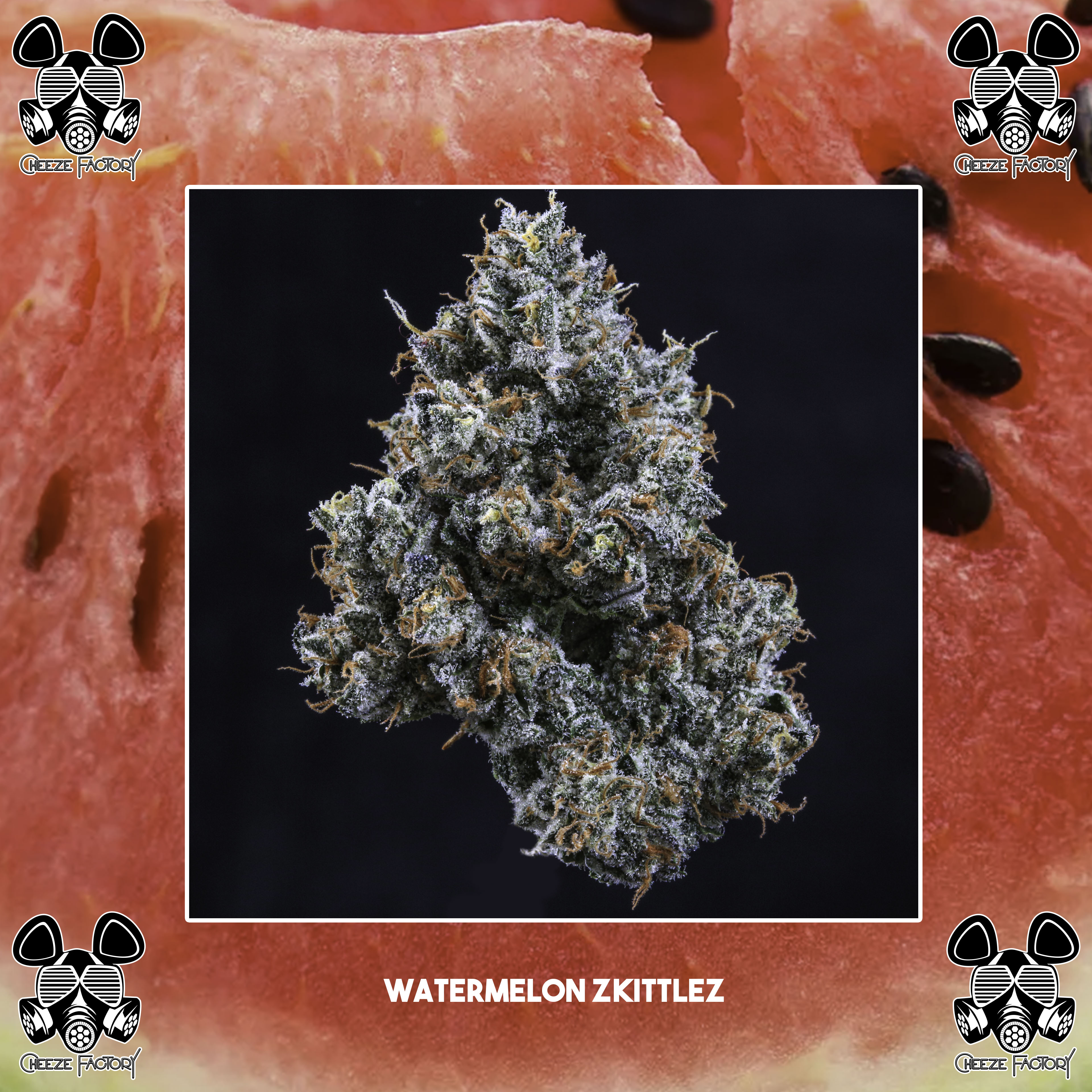 Photograph of product: Watermelon Zkittles - 28g