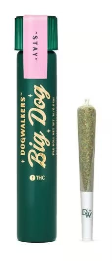 Photograph of product: Black Mapple 22 | 1pk | 1g