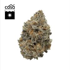 Photograph of product: Watermelon Mimosa 7g