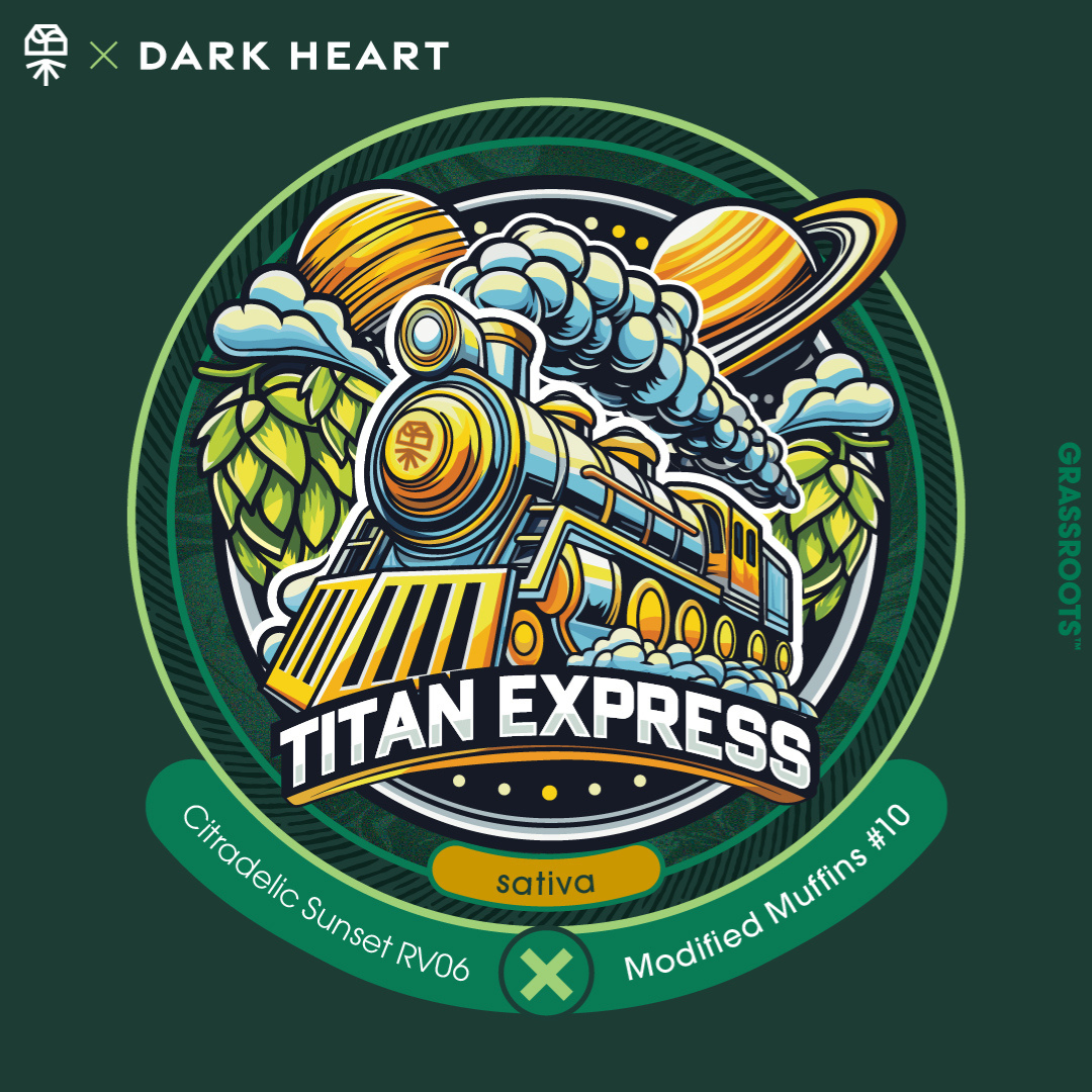 Photograph of product: Titan Express Shake 14g