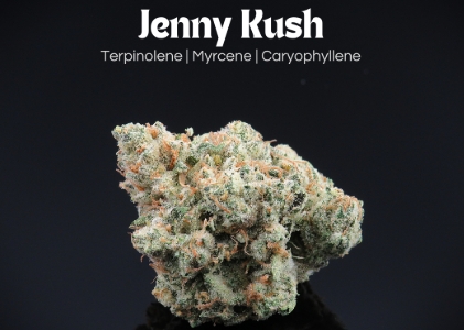 Photograph of product: Jenny Kush | 14.15g