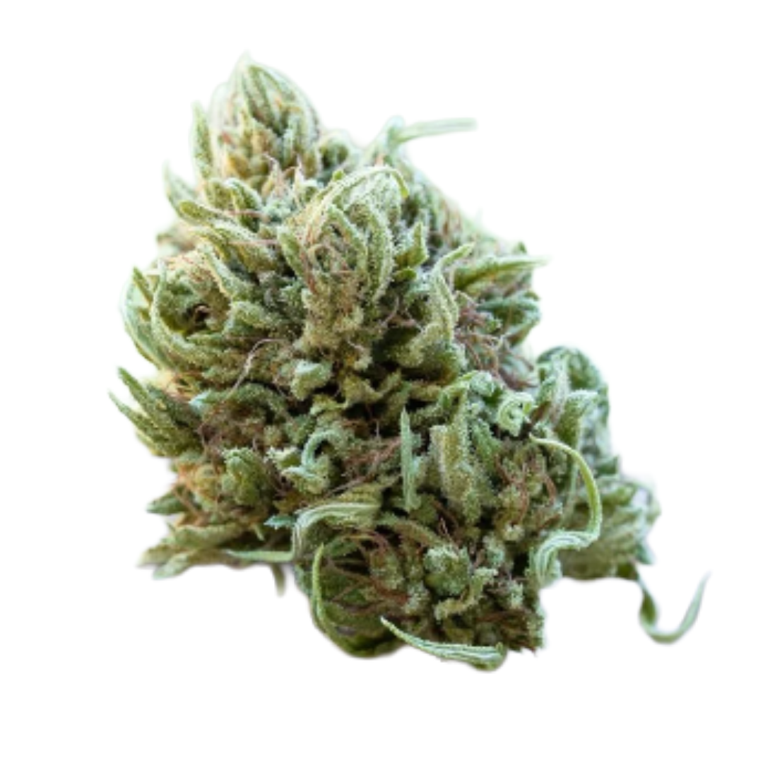 Photograph of product: FARM CUT -  HARMONY ROSE 1:1 7.5G