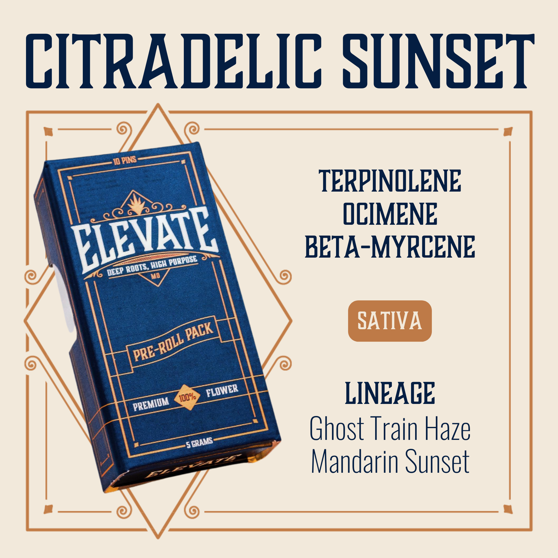Photograph of product: Citradelic Sunset Pins Pre-Roll | 10-pack