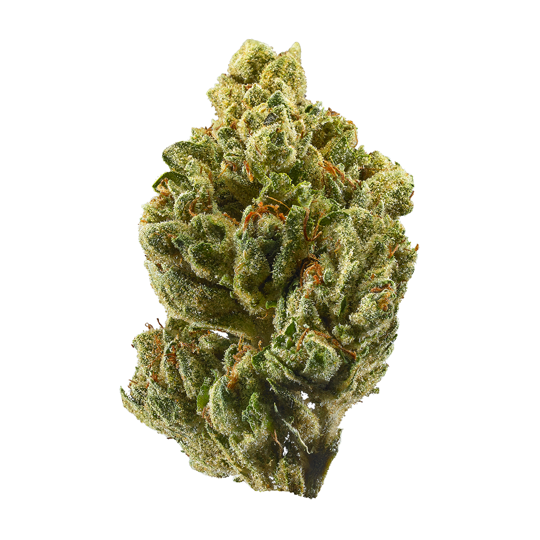 Photograph of product: OG Kush | Soma Rosa | 3.5g | Buds