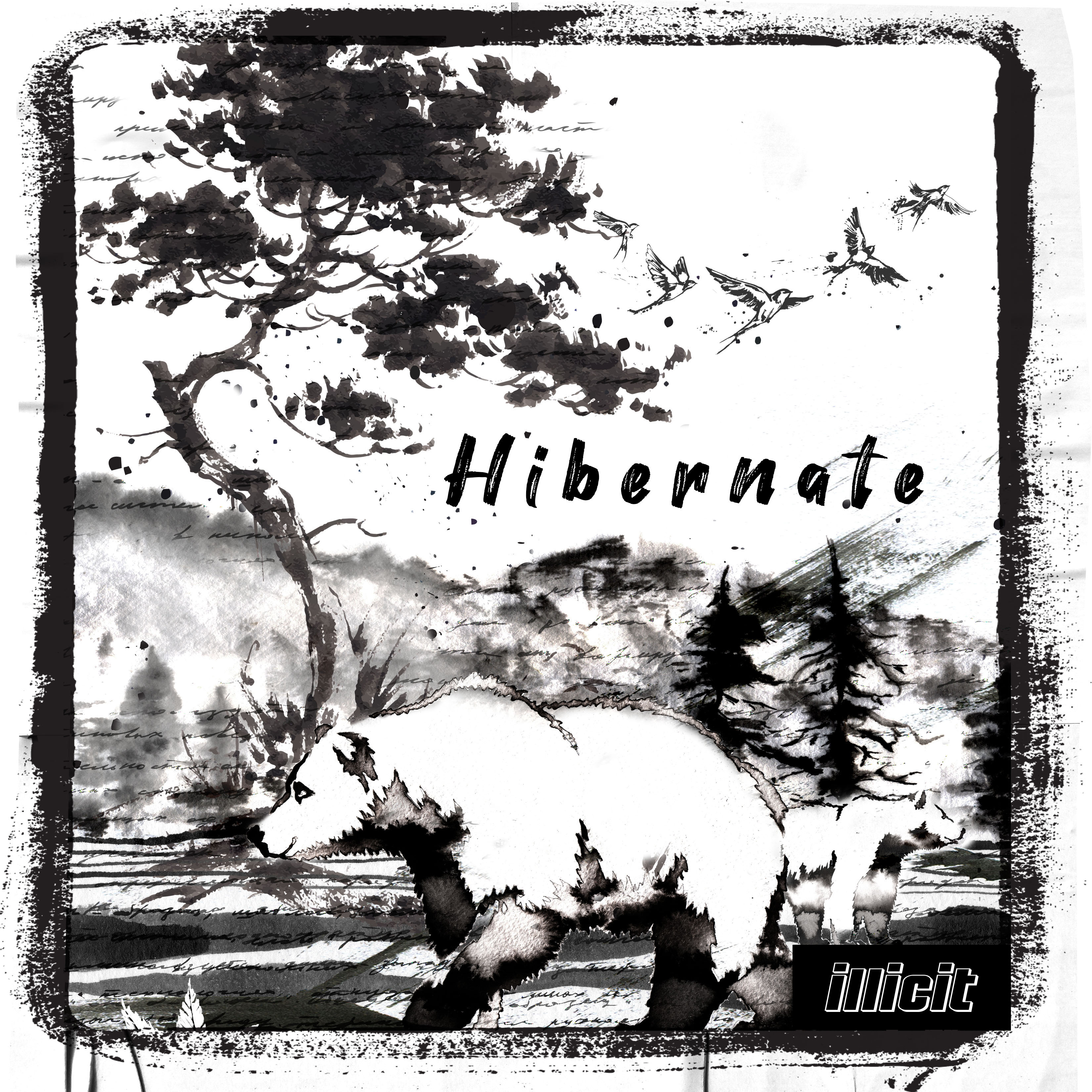 Photograph of product: Illicit | Flower | Hibernate |  3.5g
