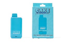 Photograph of product: CAKE - Secret Stash Battery