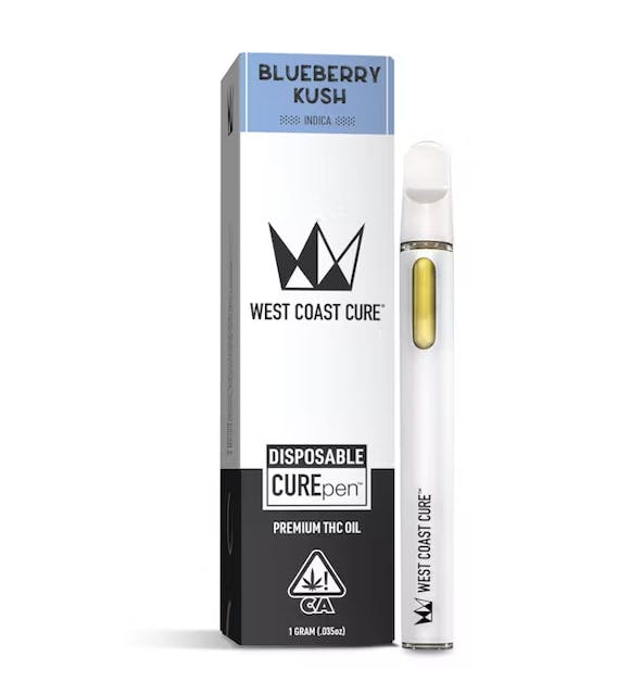 Photograph of product: Blueberry Kush (I) 1g  CUREbar All-In-One - Retail