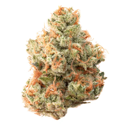 Photograph of product: NOVA CANE EIGHTH