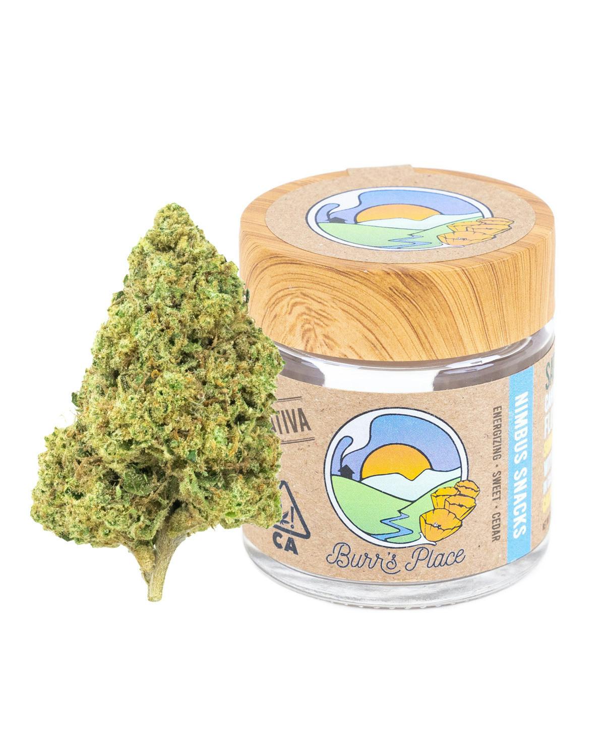 Photograph of product: Burr's Place | Nimbus Snacks - 3.5g Jar (Oui'd)