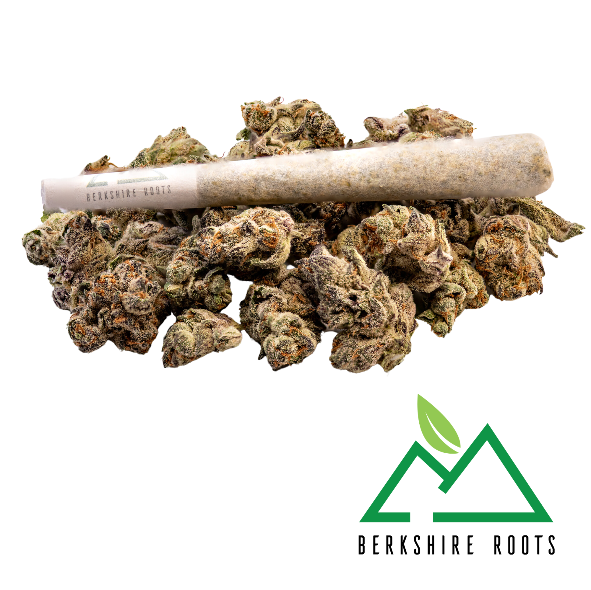 Photograph of product: Mandarin Cookies Preroll | 1g