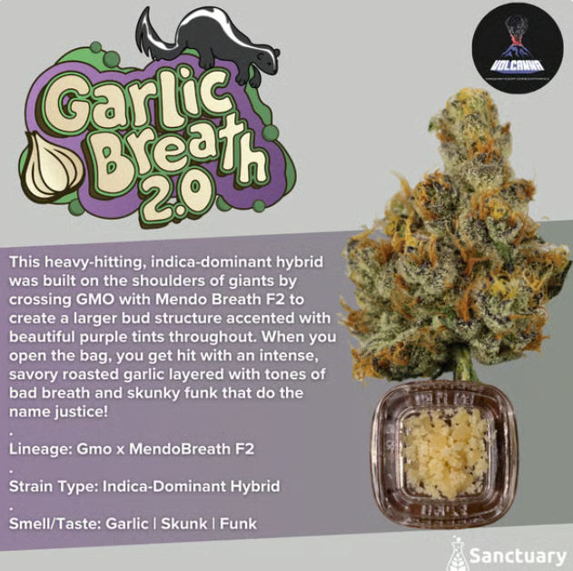 Photograph of product: Garlic Breath Crumble | 4.2G | Volcanna
