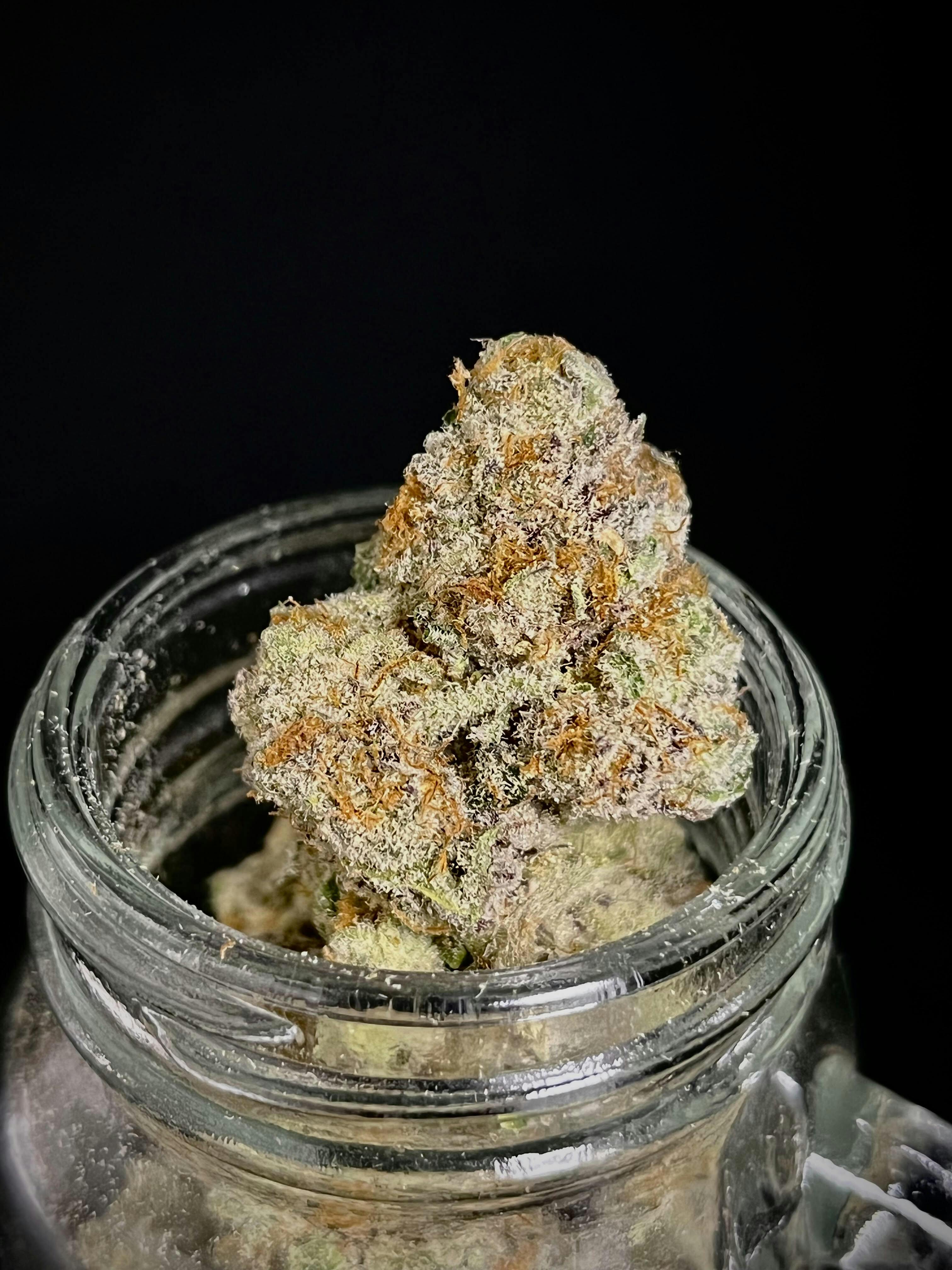 Photograph of product: Zlushie #6 {Ice Cream Cake x Grape Zkittlez x Gelato 41} (Loyalty Farms) "SILVER SHELF"