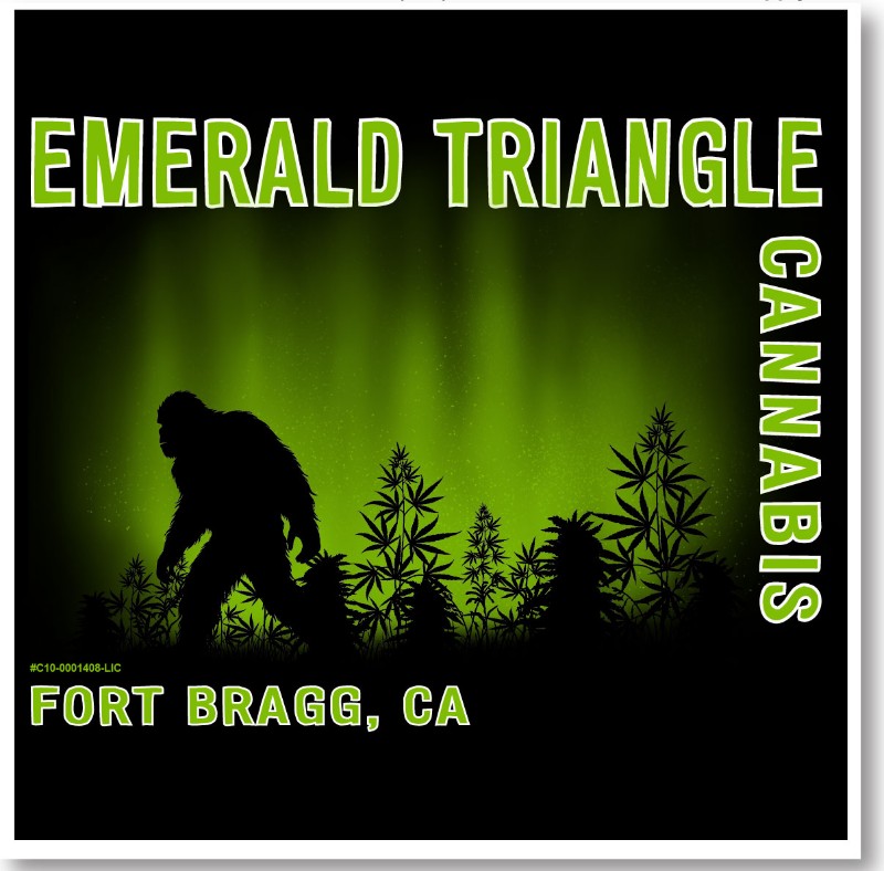 Photograph of product: 4X Glow in the Dark Bigfoot T Shirt $29