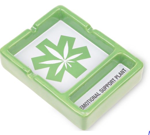 Photograph of product: Emotional Support Plant (AshTray)