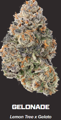 Photograph of product: ZIPS | Gelonade 28g