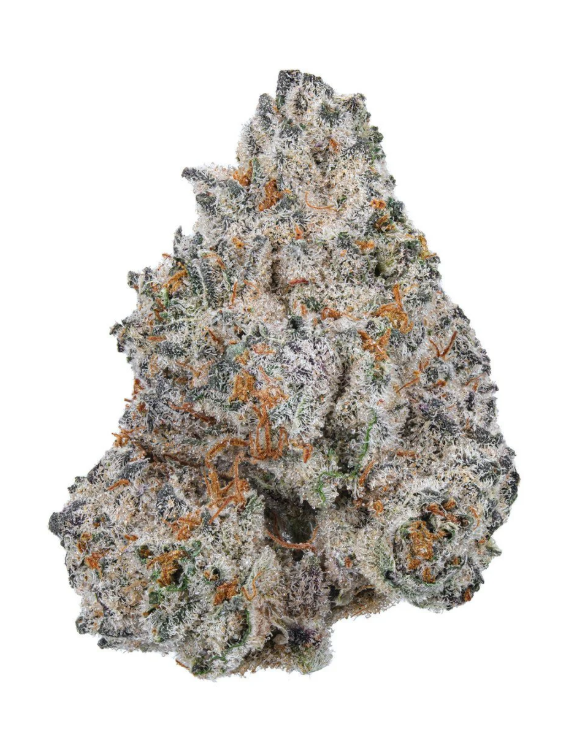 Photograph of product: MariGrow Farms | Flower (B Bud) | White Truffle x D4 | Hybrid - 14g