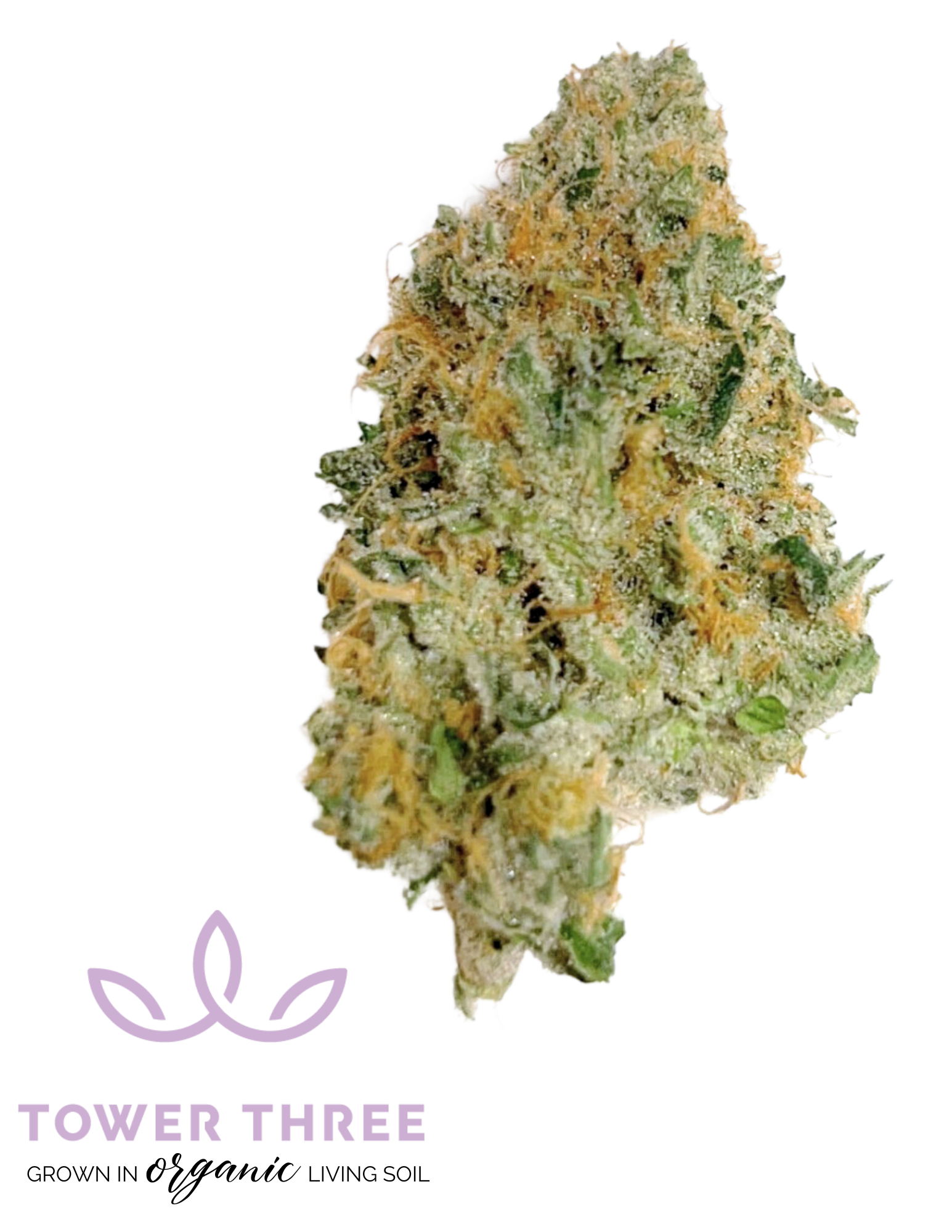 Photograph of product: Florida Freeze Pre-Roll | 1g