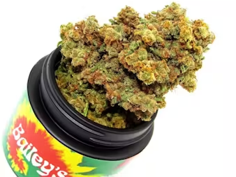 Photograph of product: Flower | Apple Fritter - 3.5g