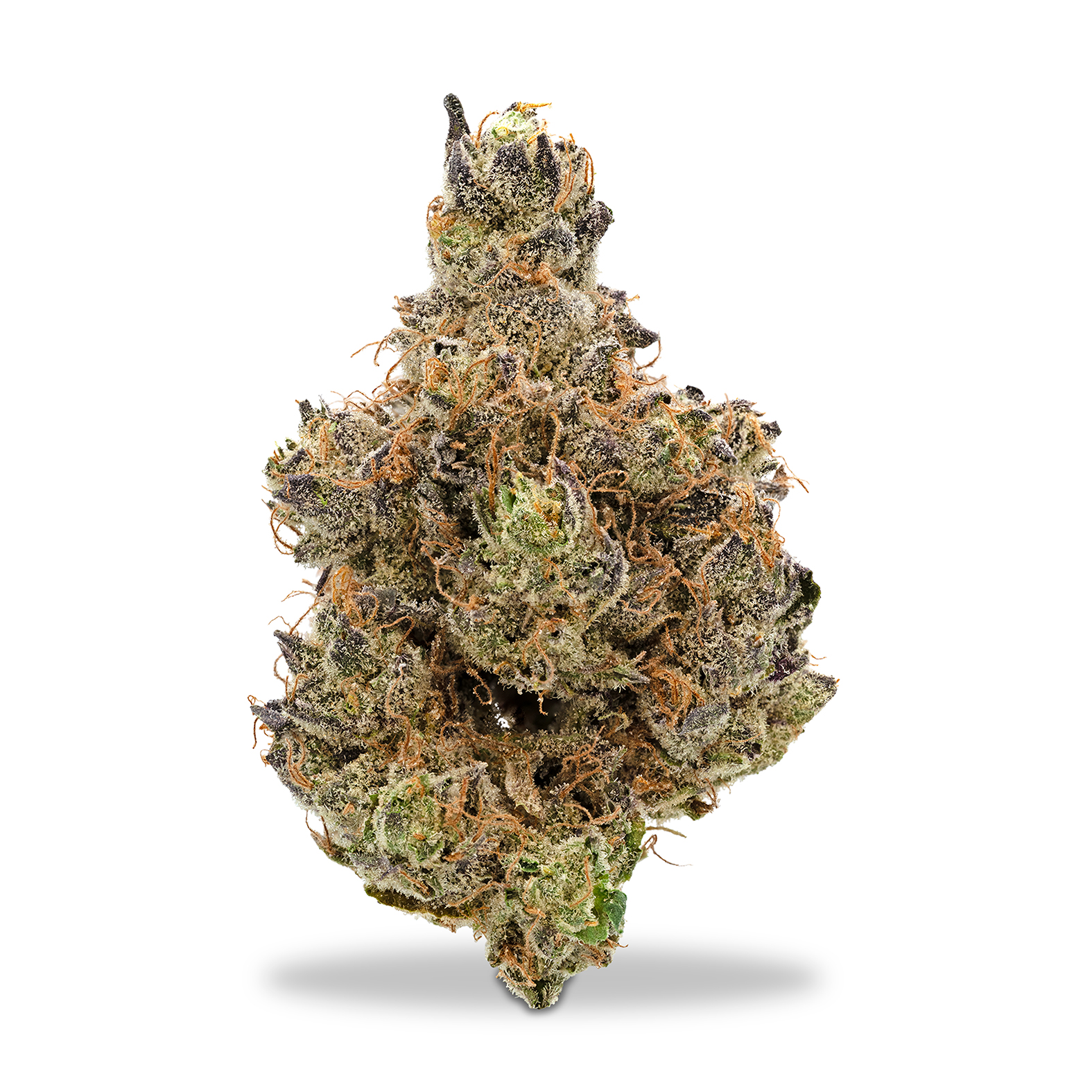 Photograph of product: Deep Creek Gardens - Apple Fritter - 1g