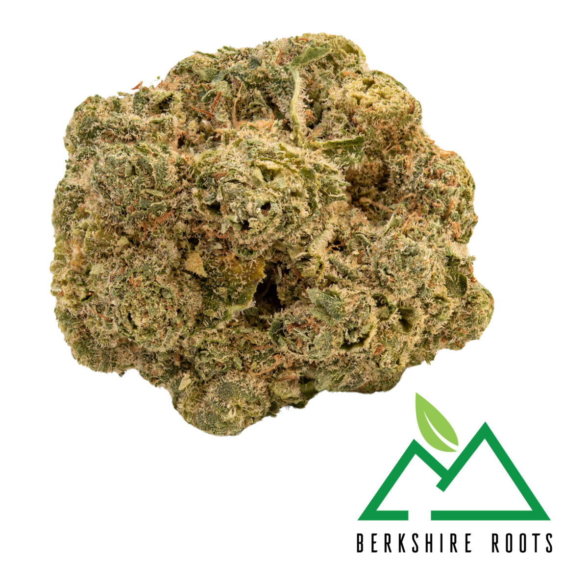 Photograph of product: Hella Jelly Buds | 3.5g