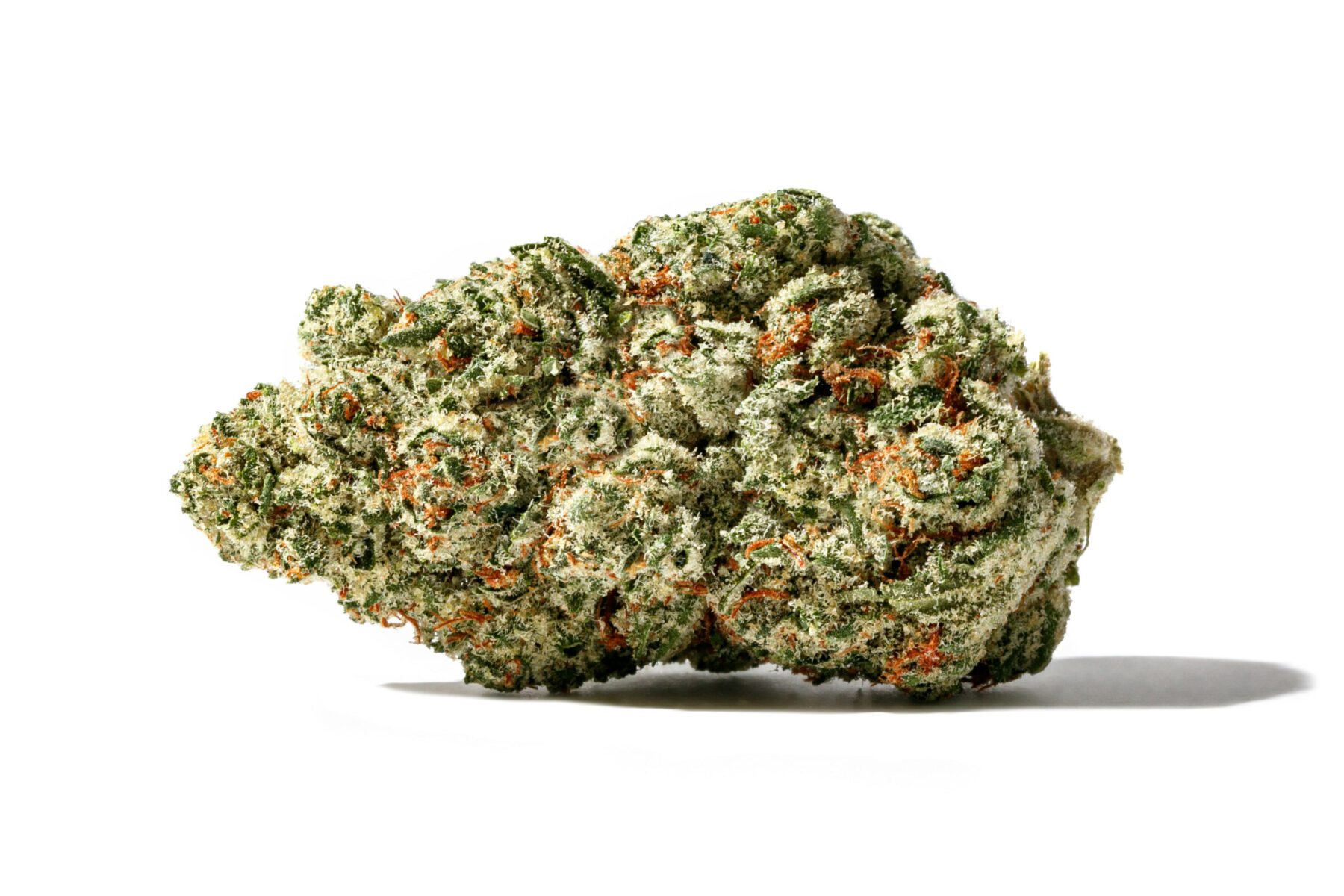 Photograph of product: Donnie Burger | Glorious | Bulk Flower - 1g
