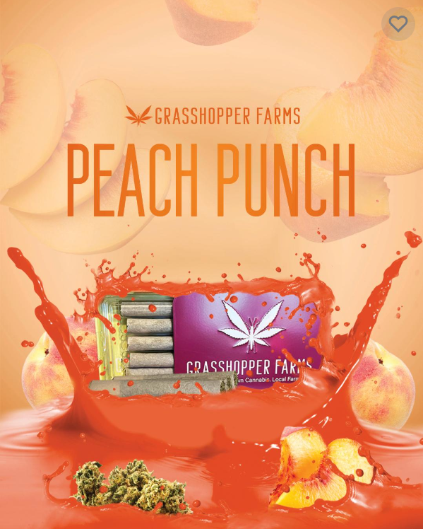 Photograph of product: Peach Punch - 5 pk Infused