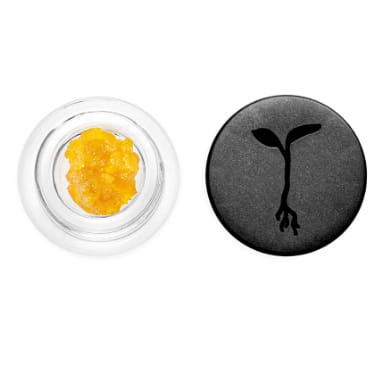 Photograph of product: Banana Cream OG Live Resin - 1g